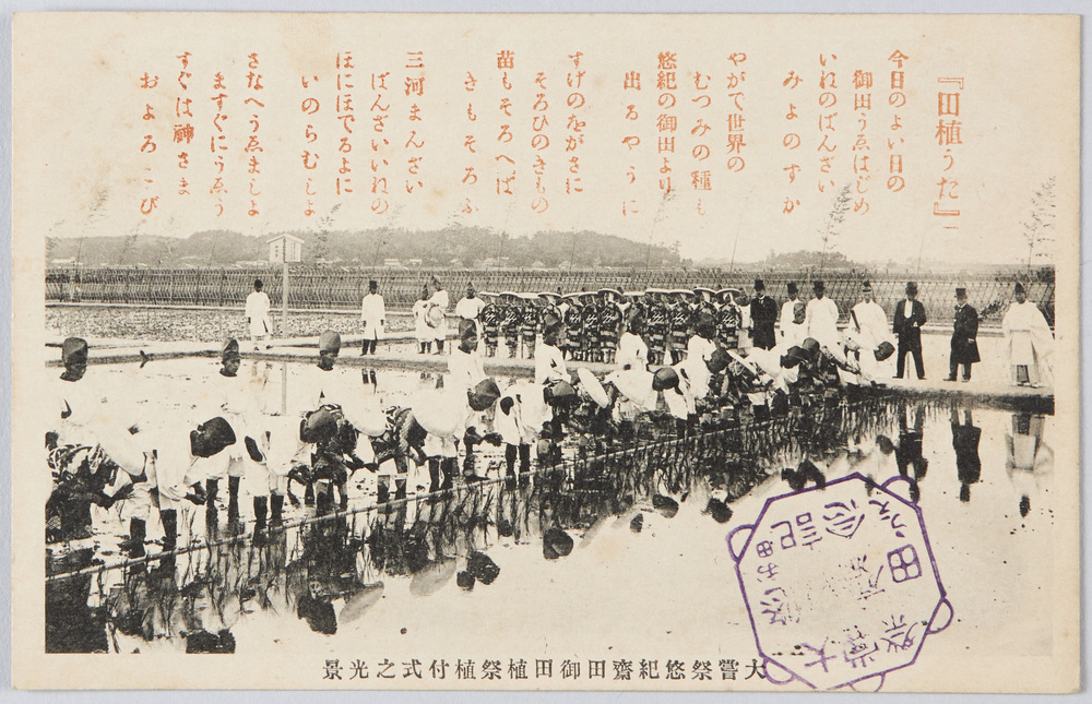 作品画像:大嘗祭悠紀斎田御田祭植付式の光景