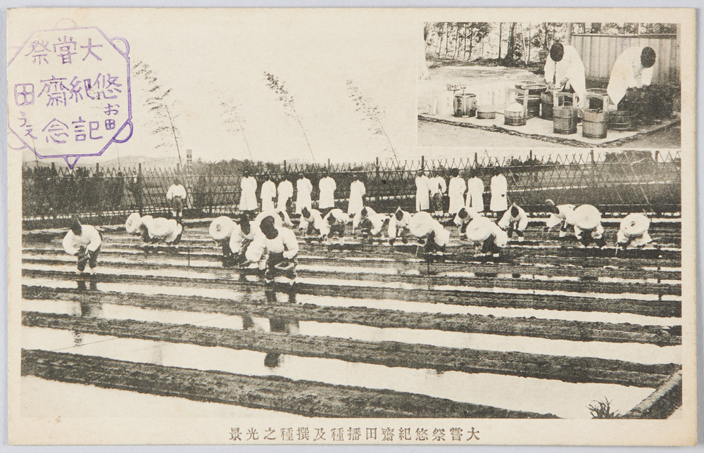 作品画像:大嘗祭悠紀斎田播種及選種の光景