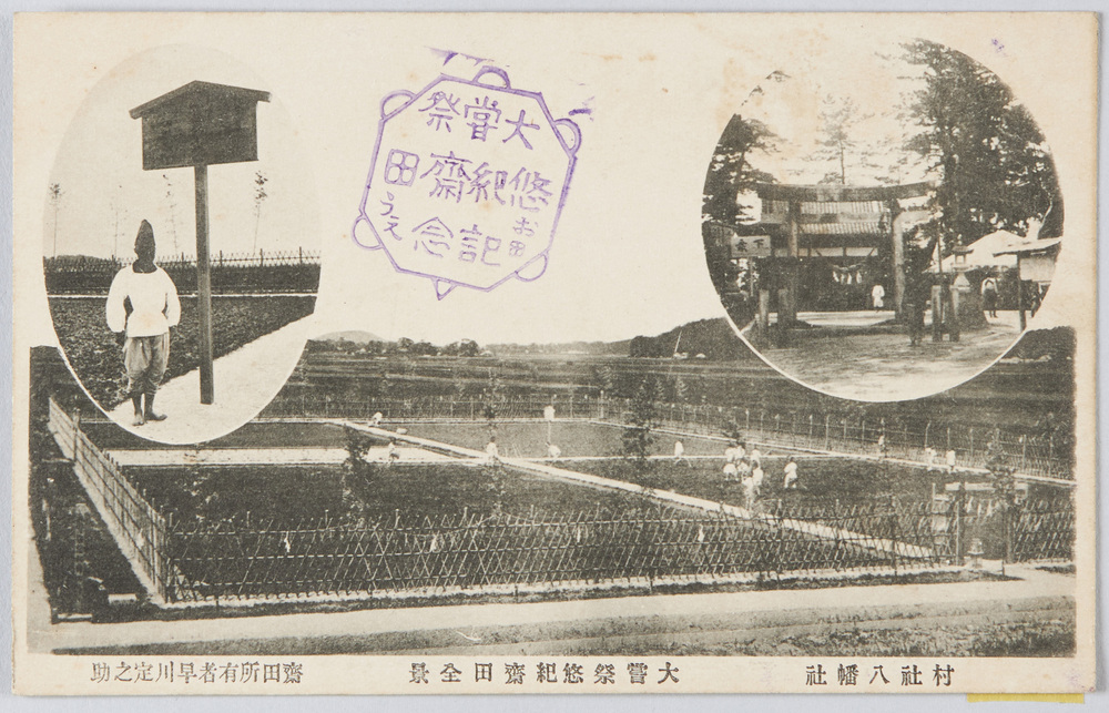 作品画像:村社八幡社 大嘗祭悠紀斎田全景
