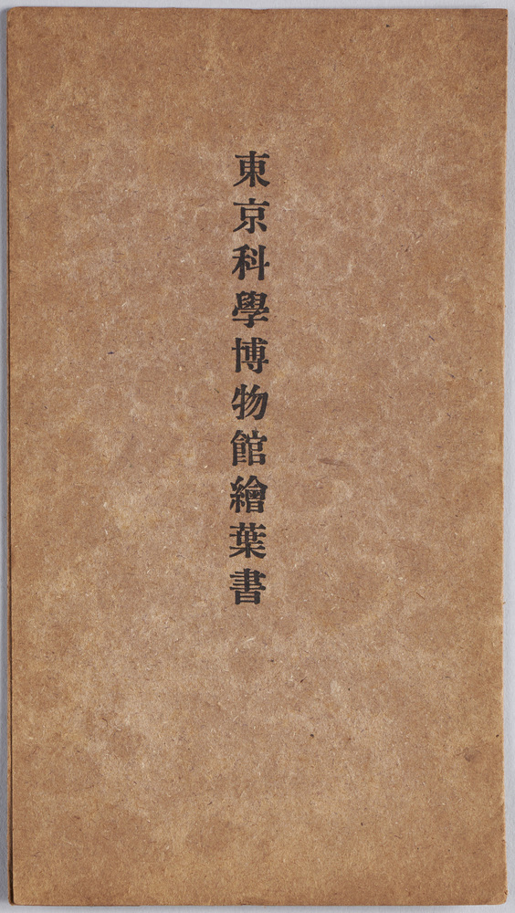 作品画像:東京科学博物館絵葉書
