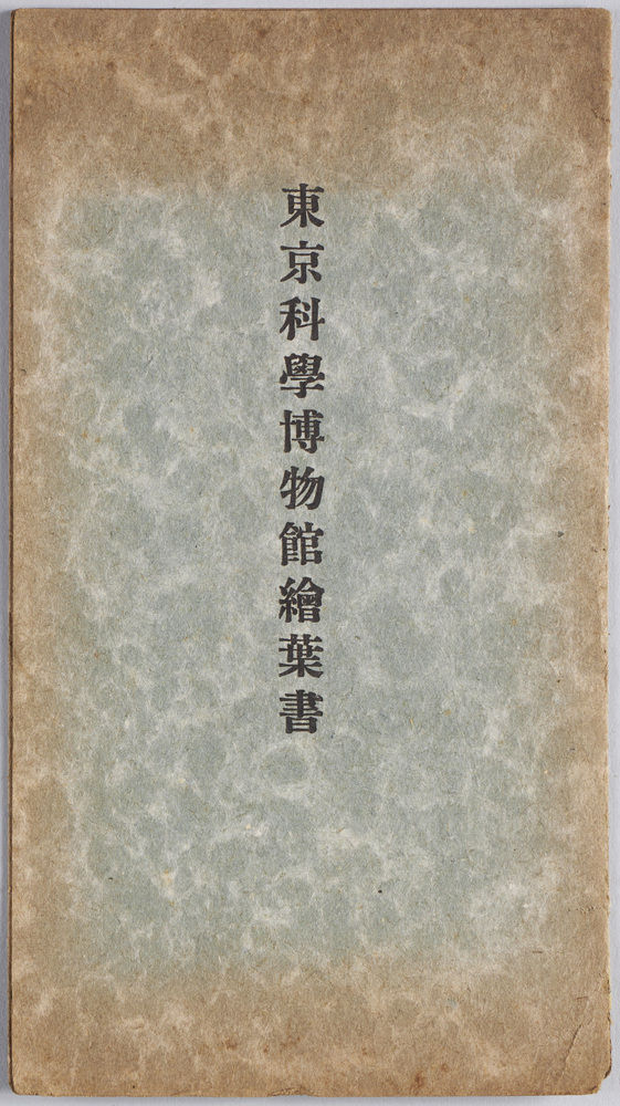 作品画像:東京科学博物館