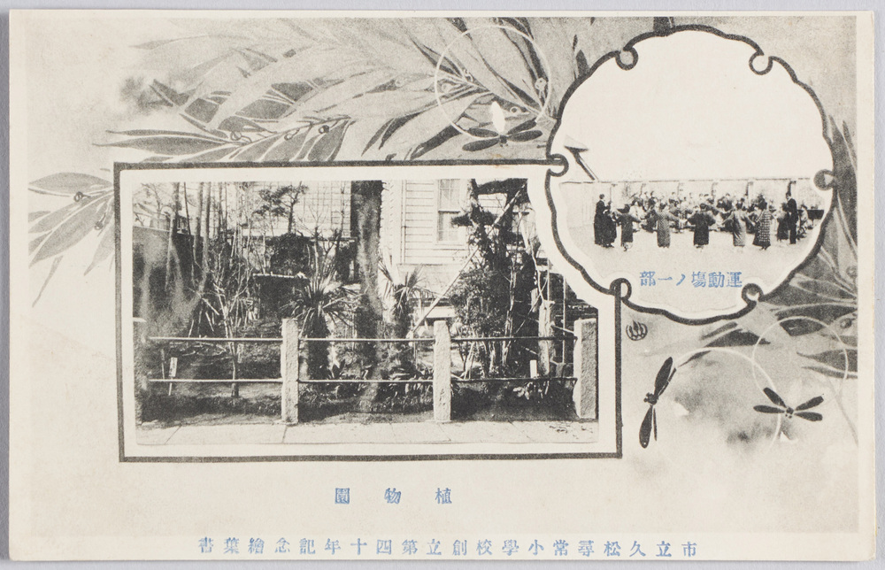 作品画像：市立久松尋常小学校創立第四十年記念絵葉書植物園　運動場ノ一部