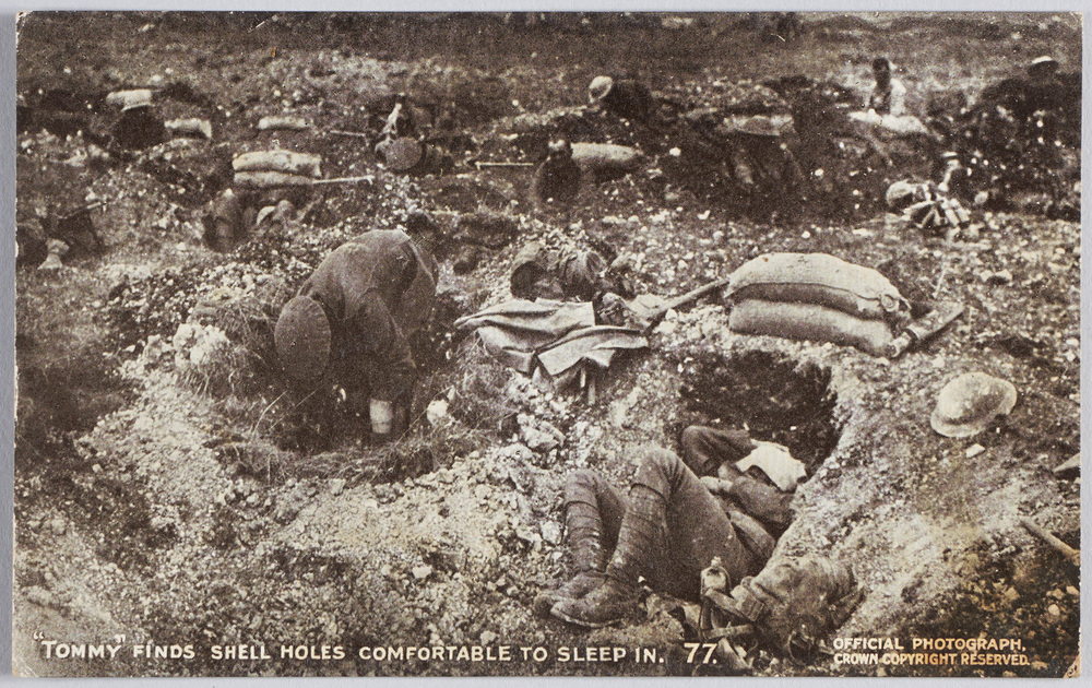 作品画像:“TOMMY”FINDS SHELL HOLES COMFORTABLE TO SLEEP IN.
