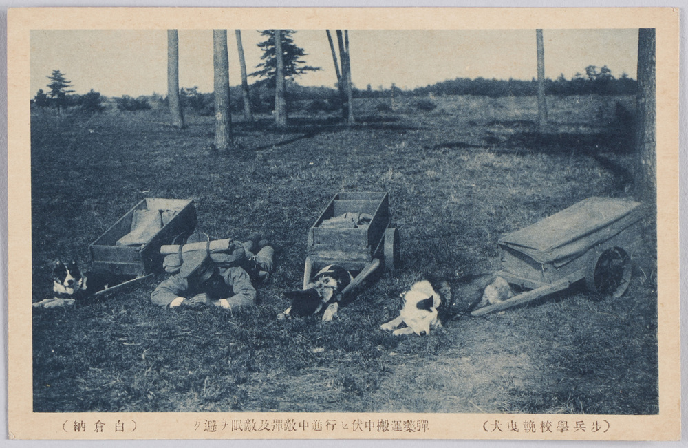 作品画像:(歩兵学校輓曳犬)弾薬運搬中伏セ行進中敵弾及敵眼ヲ避ク
