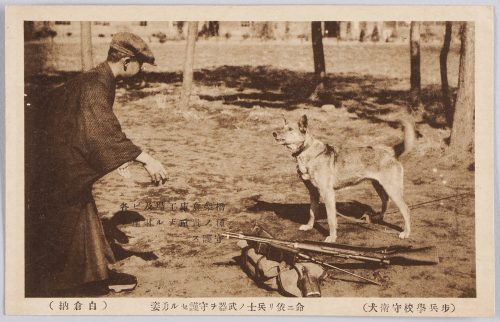 作品画像：(歩兵学校守衛犬)命ニ依リ兵士ノ武器ヲ守護セル勇姿
