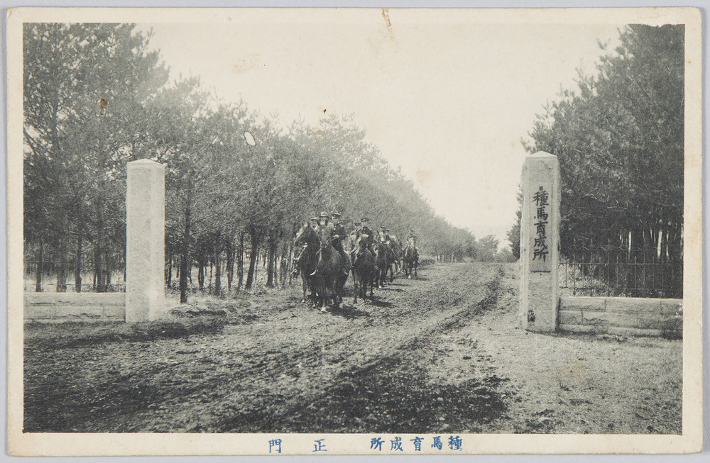作品画像：種馬育成所