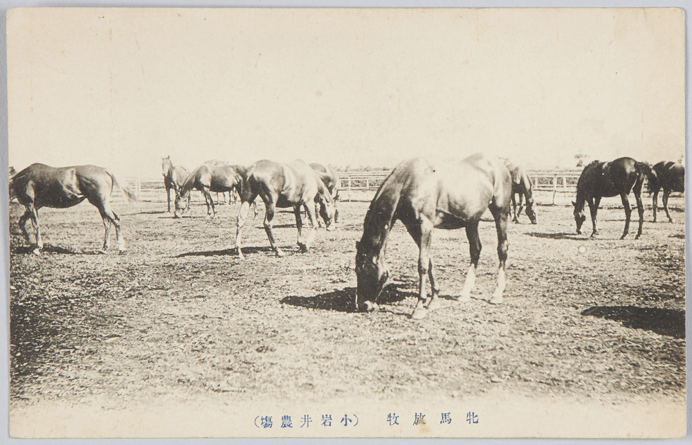 小岩井農場