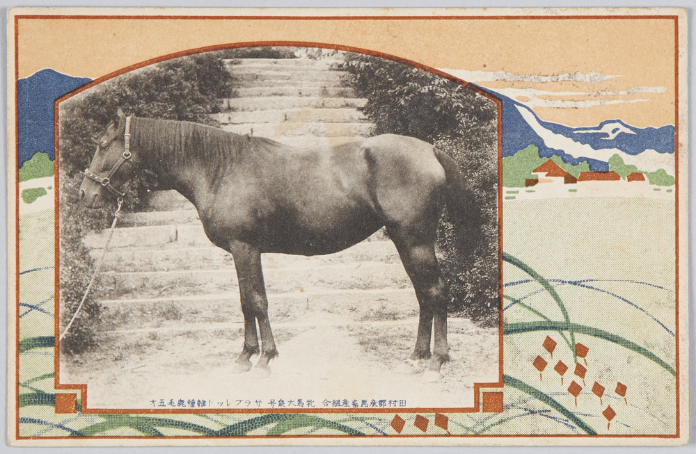 作品画像:産馬畜産組合 牝馬