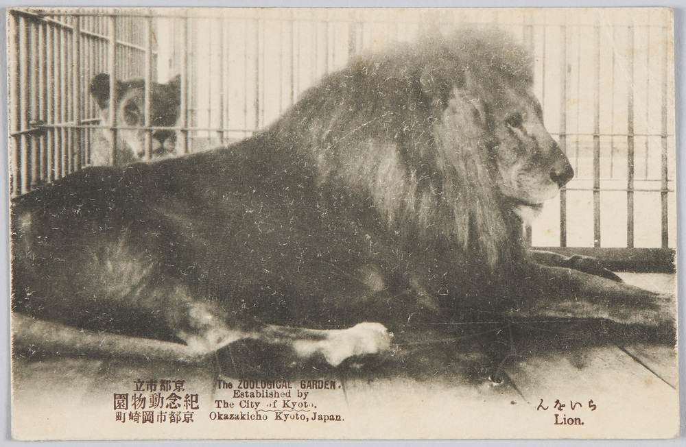 作品画像：京都市立記念動物園京都市岡崎公園