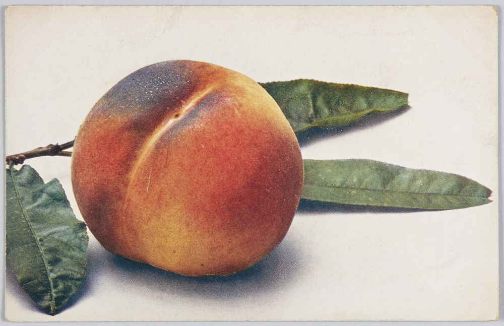 作品画像:Eiserner Kanzler.