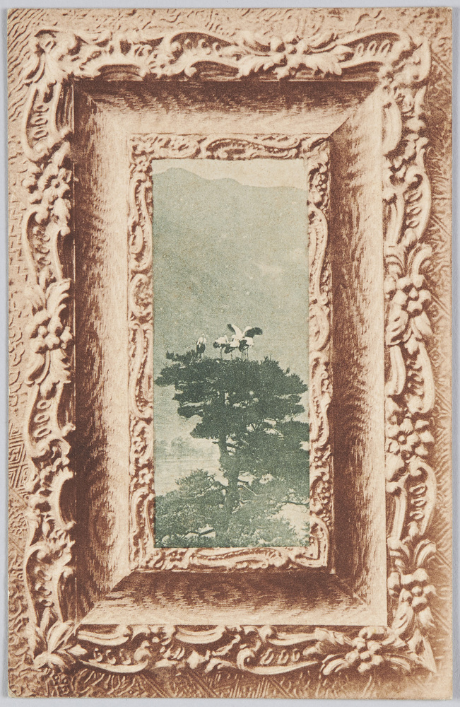 作品画像:松上の鶴