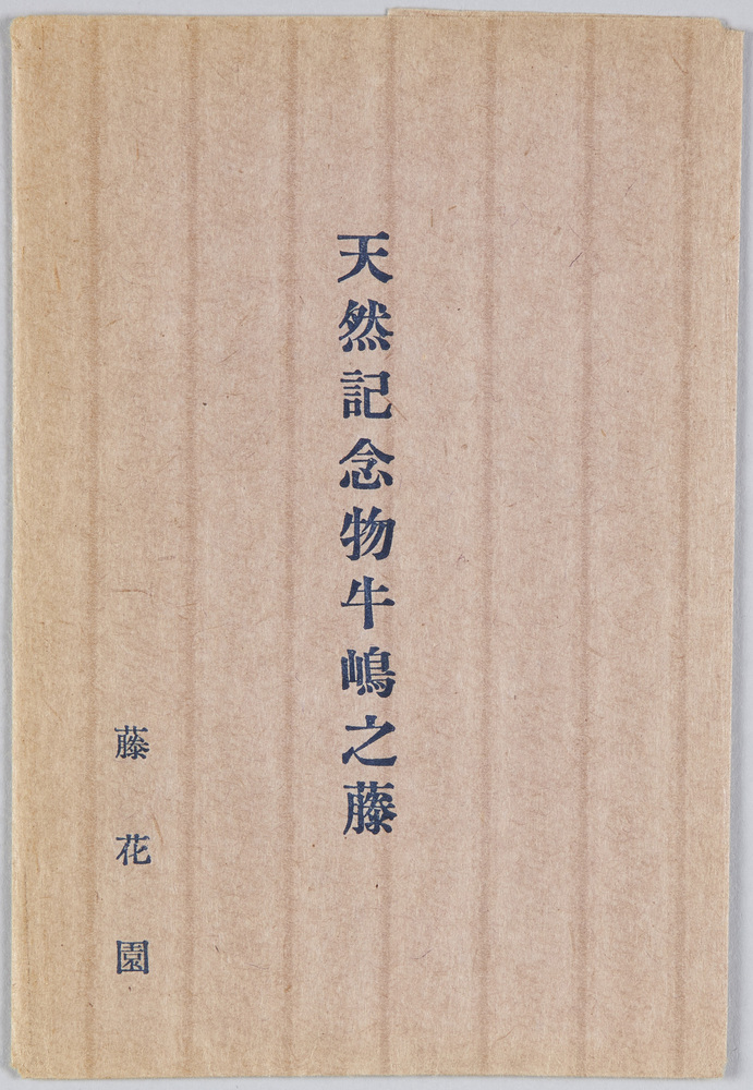 作品画像:天然記念物牛嶋之藤藤花園