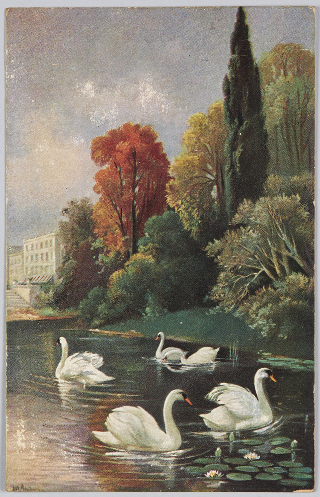 作品画像:白鳥(F.E.D.Serie 163.)(外国製)