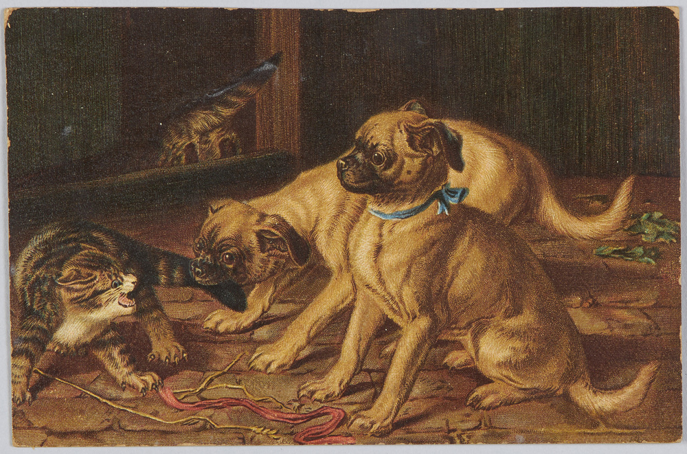 作品画像:犬と猫(Raphael Tuck&Sons’”Art”Series 1614)(外国製)