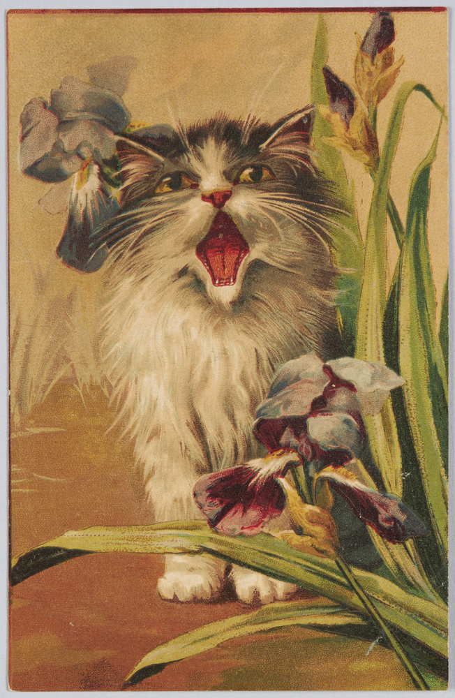作品画像:猫とアイリス(外国製)
