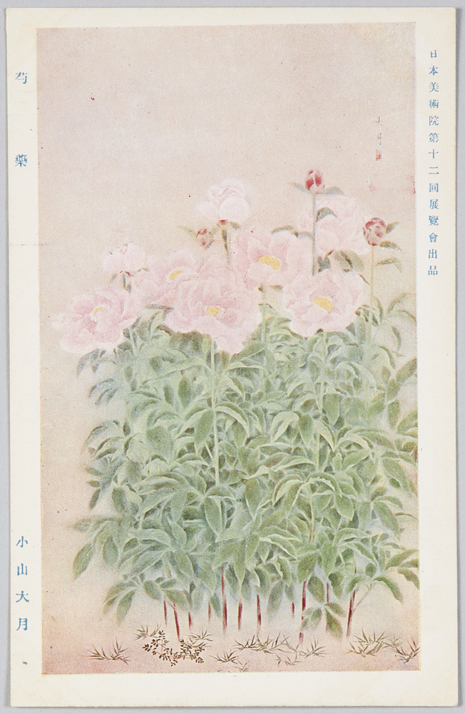 作品画像:日本美術院第十二回展覧会出品 「芍薬」 小山大月