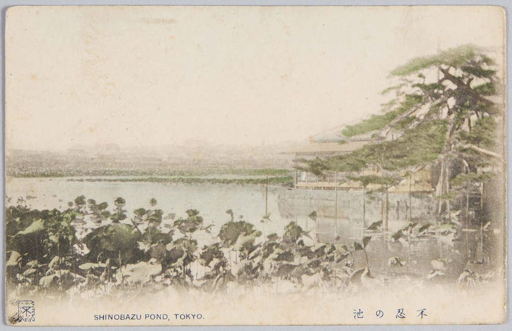 作品画像:不忍の池
