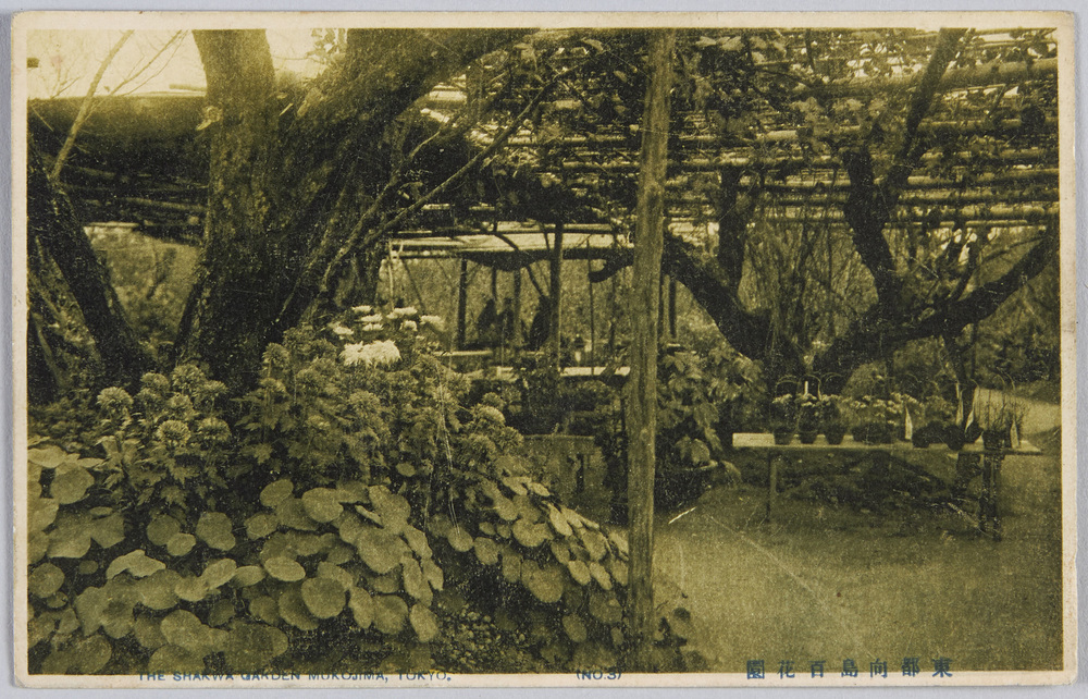 作品画像:東都向島百花園 (NO.3)
