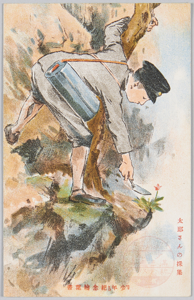 作品画像:「少年」紀念絵葉書 太郎さんの採集