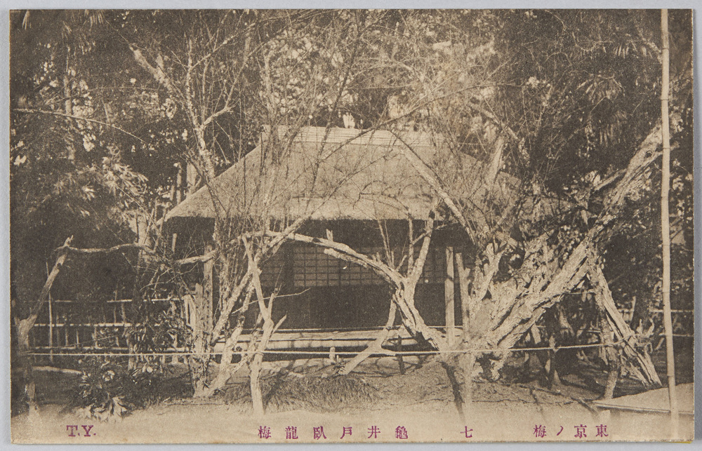 作品画像:東京ノ梅 七 亀井戸臥龍梅