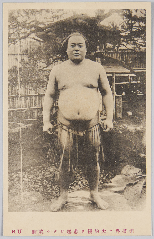 作品画像:相撲界ニ大紛擾ヲ惹起シタル放駒