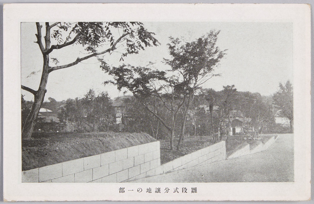 作品画像:雛段式分譲地の一部