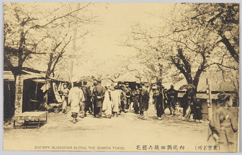 作品画像:(東京名所) 向嶋隅田堤乃櫻花 CHERRY BLOSSOMS ALONG THE SUMIDA TOKYO.