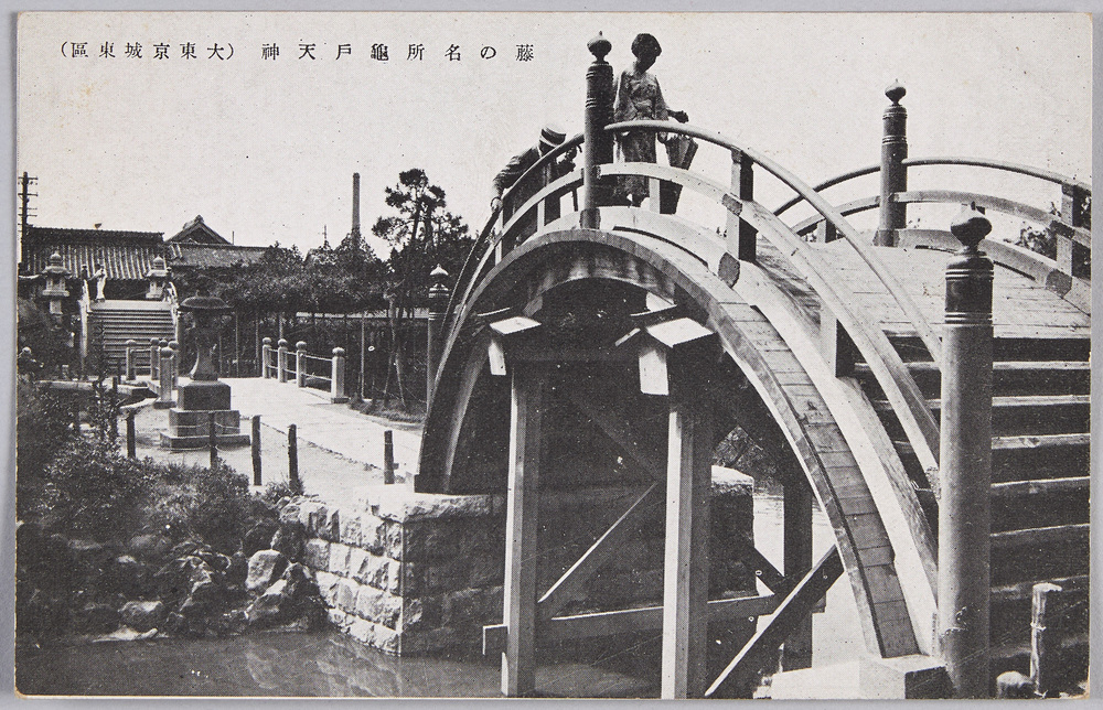 作品画像：藤の名所亀戸天神(大東京城東区)