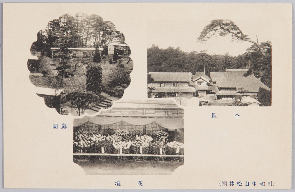 作品画像:(川和中山松林圃)全景、花壇、庭園