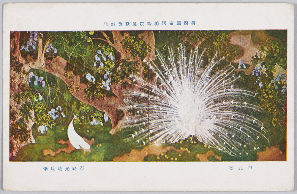 作品画像:第四回帝国美術院展覧会出品 白孔雀 石崎光瑤氏筆