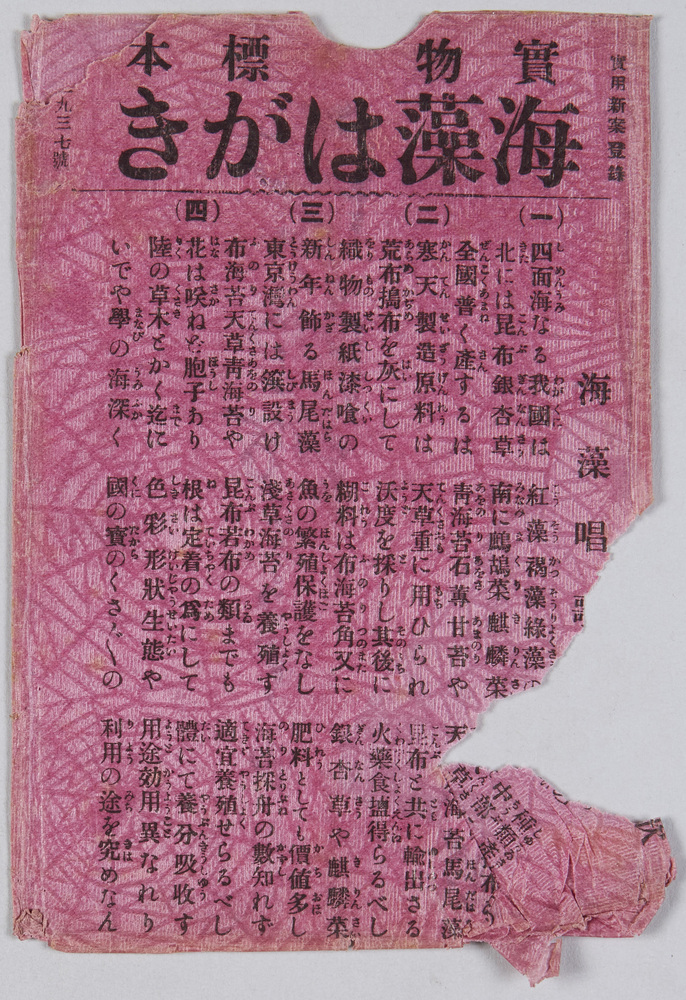 作品画像:実物標本 海藻はがき 袋