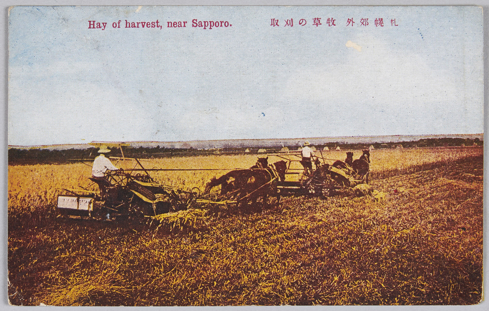 作品画像:札幌郊外牧草の刈取