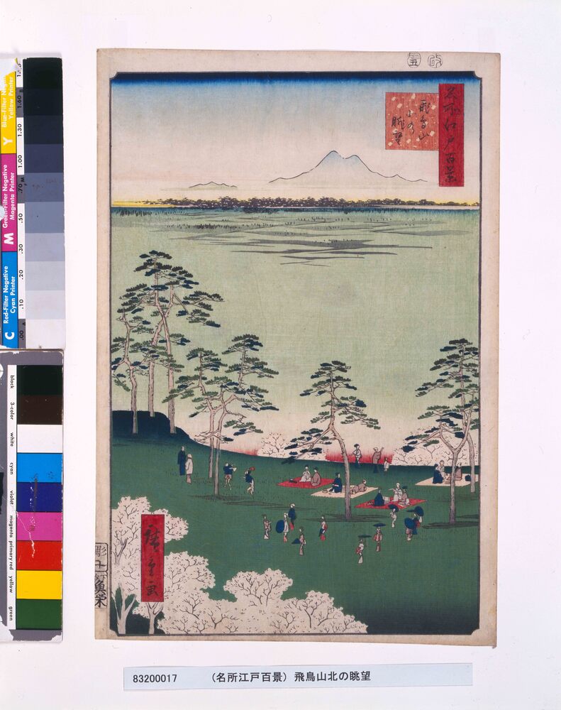 作品画像:名所江戸百景 飛鳥山北の眺望