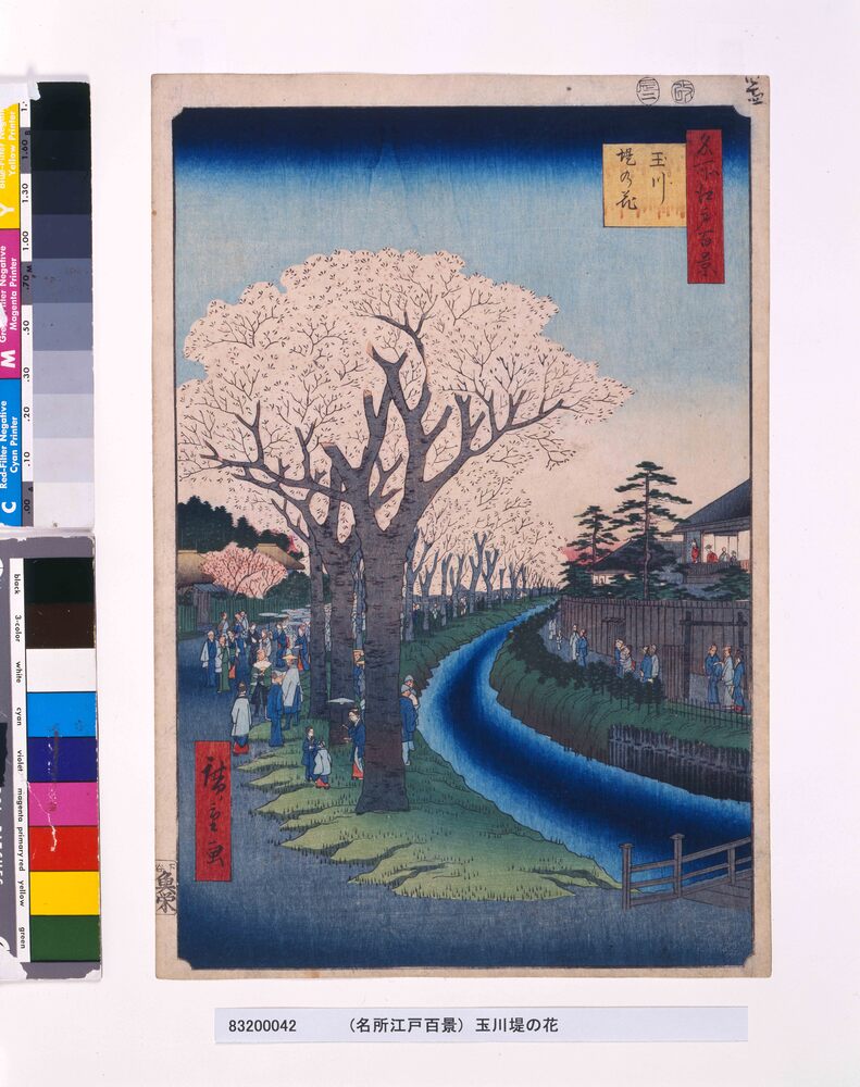 作品画像:名所江戸百景 玉川堤の花