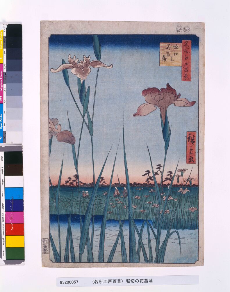 作品画像：名所江戸百景　堀切の花菖蒲