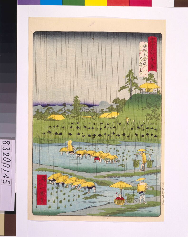 作品画像:東京名所四十八景 堀切しよふ坂五月雨