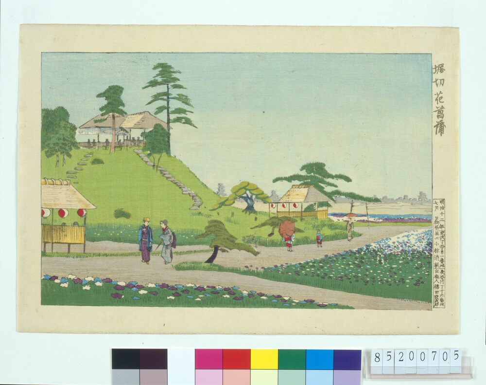 作品画像：堀切花菖蒲