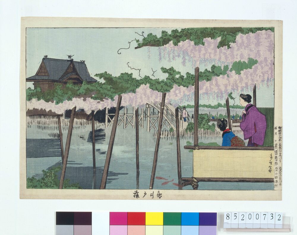作品画像：亀戸藤
