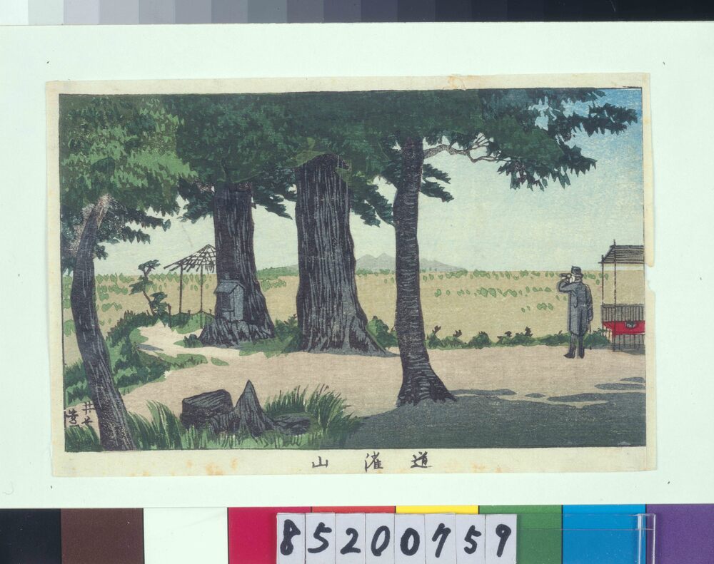 作品画像:東京真画名所図解 道潅山