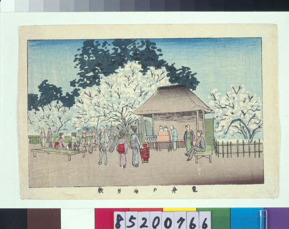 作品画像:東京真画名所図解 亀井戸梅屋敷