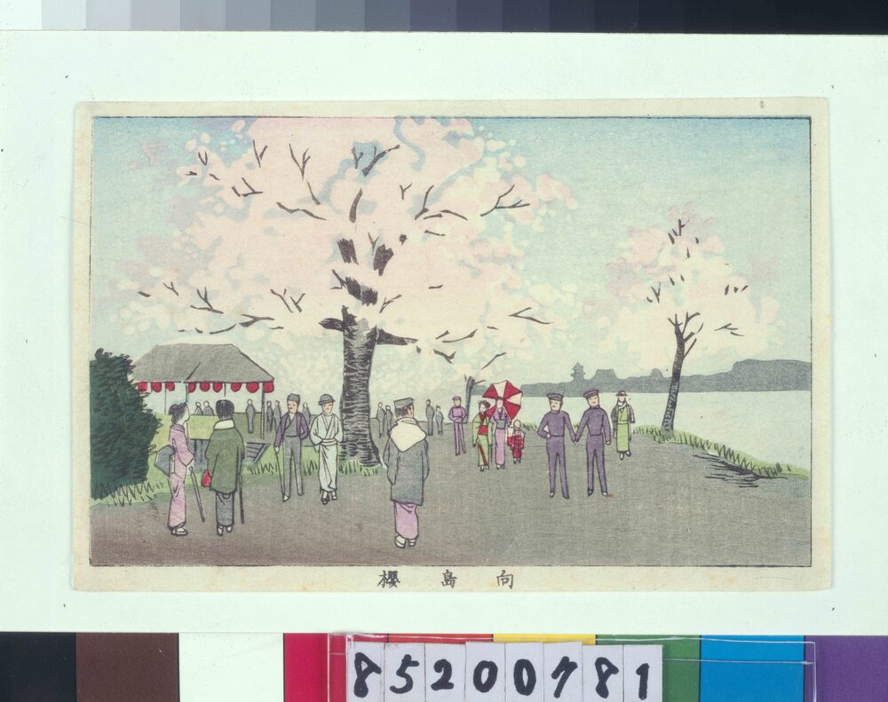 作品画像：東京真画名所図解 向島桜