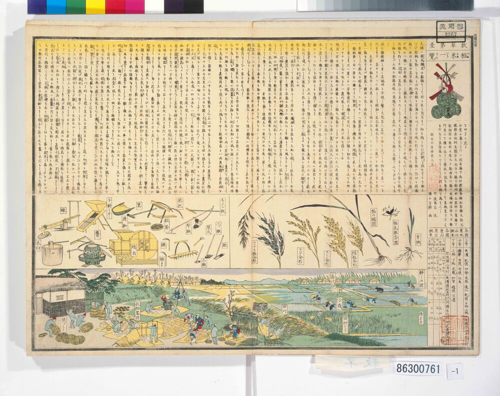 作品画像:画帖 教草