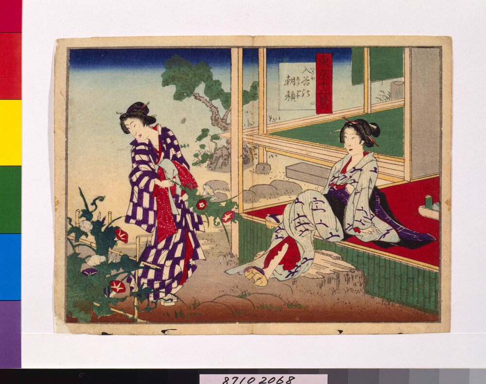 作品画像:東京十二景 入谷の朝顔