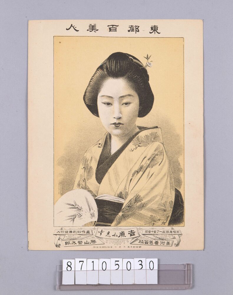 作品画像:東都百美人 吉原小志ず