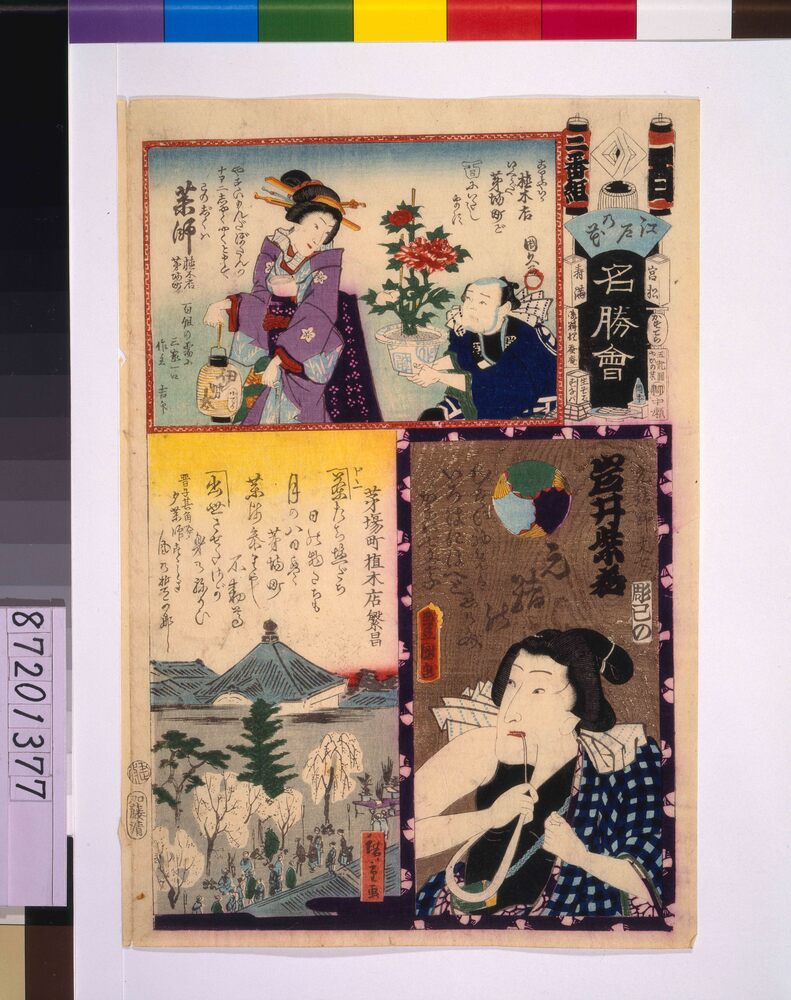 作品画像：江戸の花名勝会 百 二番組