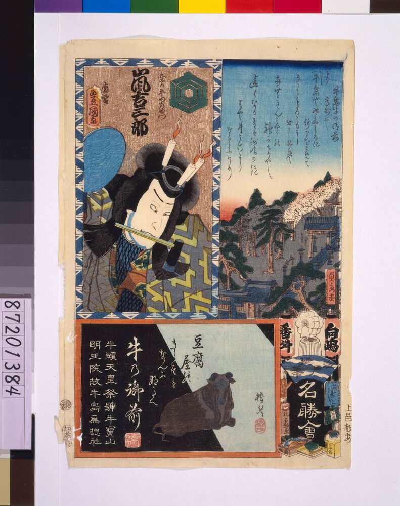作品画像：江戸の花名勝会 向嶋 番外