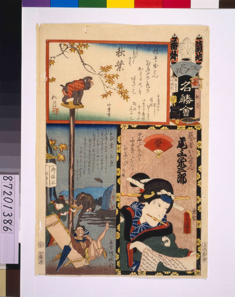 作品画像:江戸の花名勝会 請地 番外