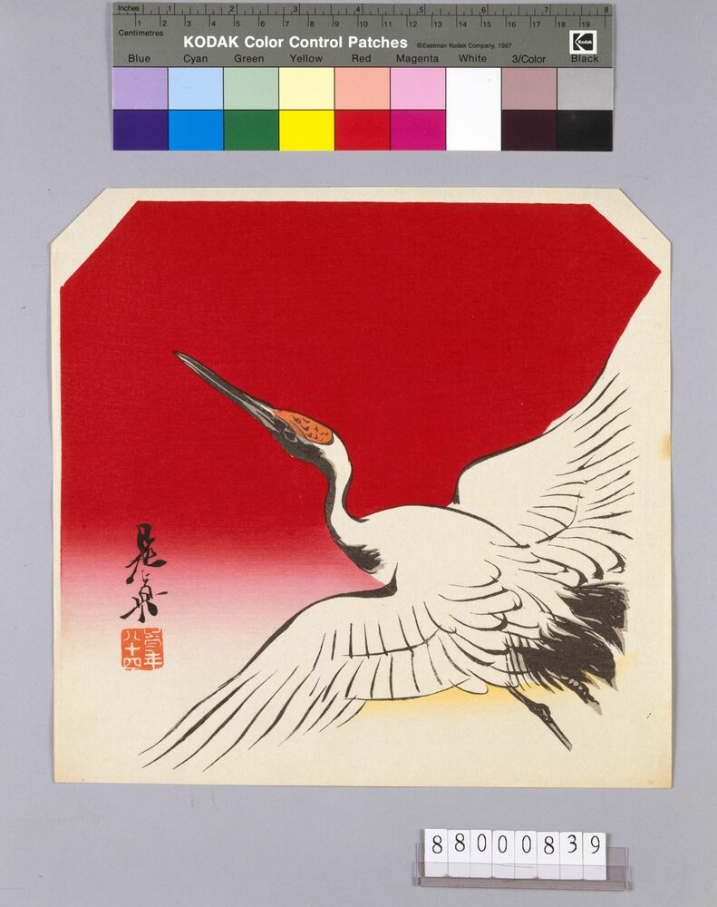 作品画像:榛原聚玉堂版団扇絵 旭日の鶴