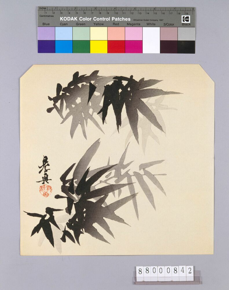 作品画像:榛原聚玉堂版団扇絵 墨竹