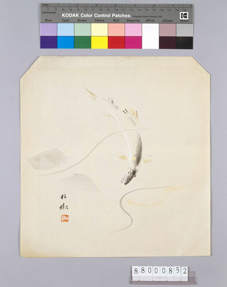 作品画像：榛原聚玉堂版団扇絵 鮎